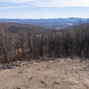 Photo #15 of SADDLE HOLLOW RD, CROZET, VA 287.1 acres