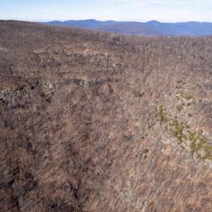 Photo #17 of SADDLE HOLLOW RD, CROZET, VA 287.1 acres