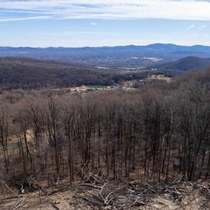 Photo #12 of SADDLE HOLLOW RD, CROZET, VA 287.1 acres