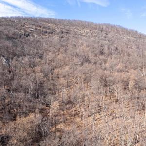 Photo #34 of SADDLE HOLLOW RD, CROZET, VA 287.1 acres