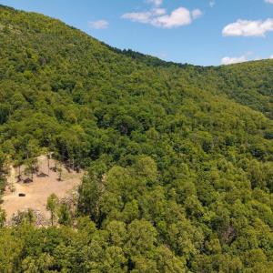 Photo #9 of SADDLE HOLLOW RD, CROZET, VA 287.1 acres
