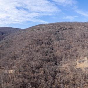 Photo #38 of SADDLE HOLLOW RD, CROZET, VA 287.1 acres