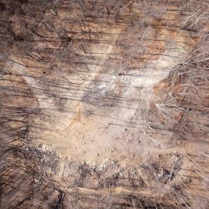 Photo #28 of SADDLE HOLLOW RD, CROZET, VA 287.1 acres