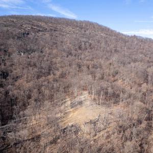 Photo #48 of SADDLE HOLLOW RD, CROZET, VA 287.1 acres