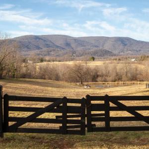 Photo #51 of SADDLE HOLLOW RD, CROZET, VA 287.1 acres