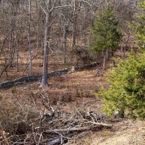 Photo #45 of SADDLE HOLLOW RD, CROZET, VA 287.1 acres