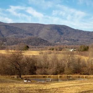 Photo #49 of SADDLE HOLLOW RD, CROZET, VA 287.1 acres
