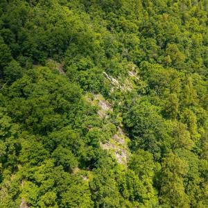 Photo #5 of SADDLE HOLLOW RD, CROZET, VA 287.1 acres