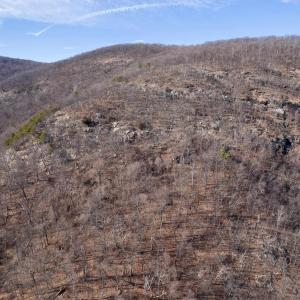 Photo #35 of SADDLE HOLLOW RD, CROZET, VA 287.1 acres