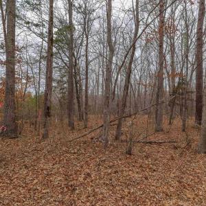 Photo #24 of Lot 1 PINEY GREEN RD, CREWE, VA 13.5 acres