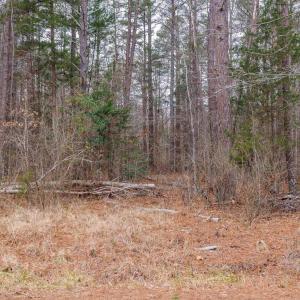 Photo #31 of Lot 1 PINEY GREEN RD, CREWE, VA 13.5 acres