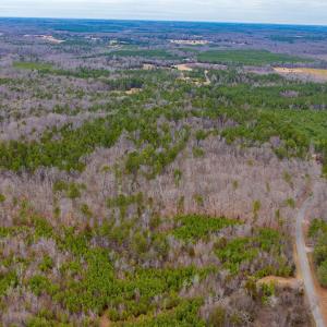 Photo #5 of Lot 1 PINEY GREEN RD, CREWE, VA 13.5 acres