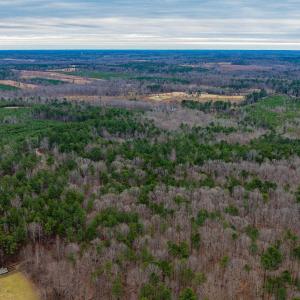 Photo #19 of Lot 2 PINEY GREEN RD, CREWE, VA 12.8 acres