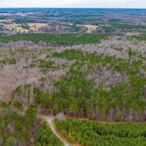 Photo #13 of Lot 3 PINEY GREEN RD, CREWE, VA 9.1 acres