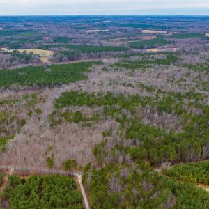 Photo #8 of Lot 3 PINEY GREEN RD, CREWE, VA 9.1 acres