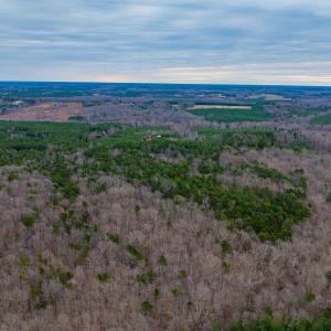 Photo #21 of Lot 3 PINEY GREEN RD, CREWE, VA 9.1 acres