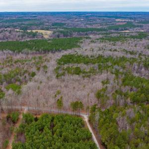 Photo #12 of Lot 3 PINEY GREEN RD, CREWE, VA 9.1 acres