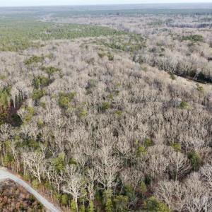 Photo #19 of 20602 BEAVERDAM RD, BEAVERDAM, VA 87.5 acres