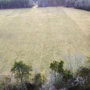 Photo #17 of 20602 BEAVERDAM RD, BEAVERDAM, VA 87.5 acres