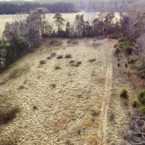 Photo #16 of 20602 BEAVERDAM RD, BEAVERDAM, VA 87.5 acres