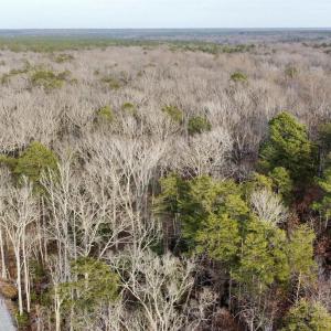 Photo #20 of 20602 BEAVERDAM RD, BEAVERDAM, VA 87.5 acres