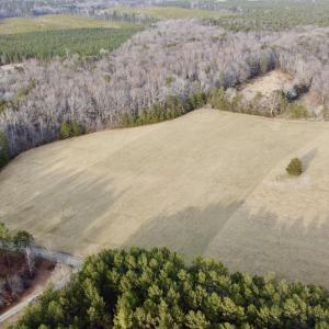 Photo #7 of 20602 BEAVERDAM RD, BEAVERDAM, VA 87.5 acres