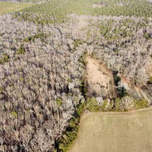 Photo #12 of 20602 BEAVERDAM RD, BEAVERDAM, VA 87.5 acres