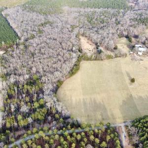 Photo #13 of 20602 BEAVERDAM RD, BEAVERDAM, VA 87.5 acres