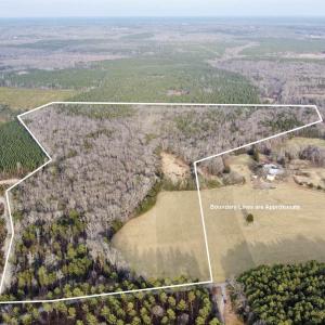 Photo #1 of 20602 BEAVERDAM RD, BEAVERDAM, VA 87.5 acres