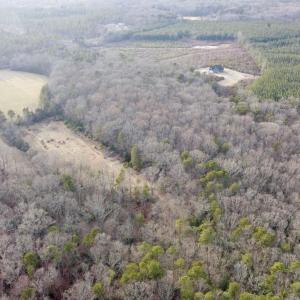 Photo #3 of 20602 BEAVERDAM RD, BEAVERDAM, VA 87.5 acres