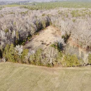 Photo #6 of 20602 BEAVERDAM RD, BEAVERDAM, VA 87.5 acres
