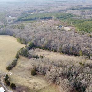 Photo #9 of 20602 BEAVERDAM RD, BEAVERDAM, VA 87.5 acres