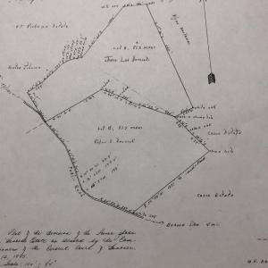 Photo #23 of 20602 BEAVERDAM RD, BEAVERDAM, VA 87.5 acres