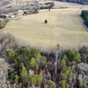Photo #17 of 20602 BEAVERDAM RD, BEAVERDAM, VA 87.5 acres