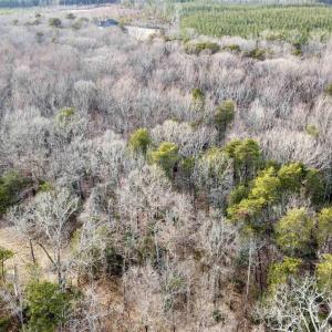 Photo #15 of 20602 BEAVERDAM RD, BEAVERDAM, VA 87.5 acres