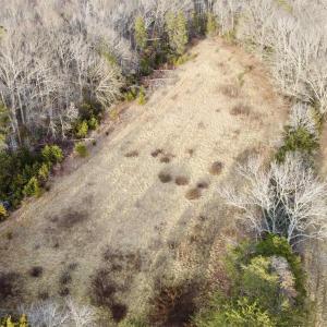 Photo #5 of 20602 BEAVERDAM RD, BEAVERDAM, VA 87.5 acres