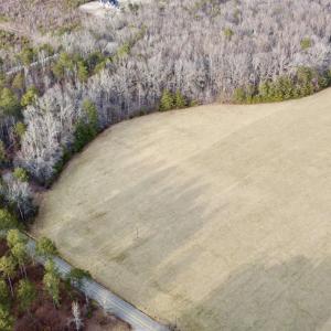 Photo #8 of 20602 BEAVERDAM RD, BEAVERDAM, VA 87.5 acres