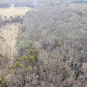 Photo #4 of 20602 BEAVERDAM RD, BEAVERDAM, VA 87.5 acres