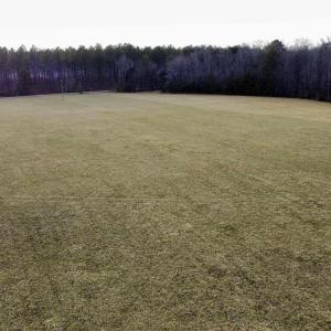Photo #22 of 20602 BEAVERDAM RD, BEAVERDAM, VA 87.5 acres