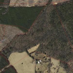 Photo #23 of 20602 BEAVERDAM RD, BEAVERDAM, VA 87.5 acres