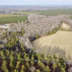 Photo #2 of 20602 BEAVERDAM RD, BEAVERDAM, VA 87.5 acres