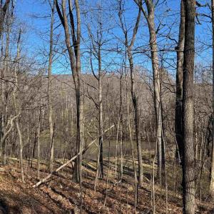 Photo #4 of TBD EDMOND DR, CROZET, VA 0.6 acres