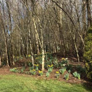 Photo #3 of TBD EDMOND DR, CROZET, VA 0.6 acres
