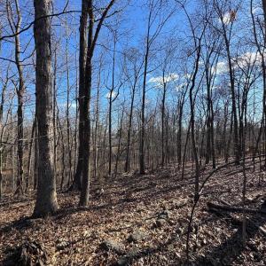Photo #5 of TBD EDMOND DR, CROZET, VA 0.6 acres