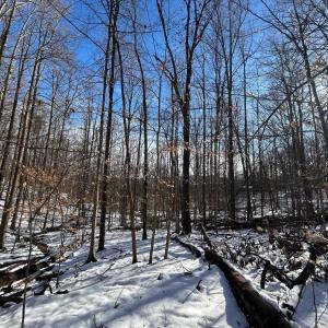 Photo #3 of STONE CHIMNEYS RD, WINTERGREEN, VA 2.2 acres