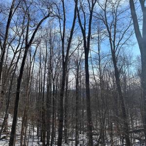 Photo #2 of STONE CHIMNEYS RD, WINTERGREEN, VA 2.2 acres