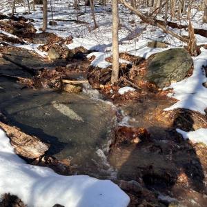 Photo #7 of STONE CHIMNEYS RD, WINTERGREEN, VA 2.2 acres
