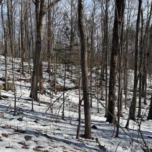 Photo #6 of STONE CHIMNEYS RD, WINTERGREEN, VA 2.2 acres