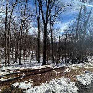 Photo #1 of STONE CHIMNEYS RD, WINTERGREEN, VA 2.2 acres