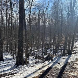 Photo #5 of STONE CHIMNEYS RD, WINTERGREEN, VA 2.2 acres